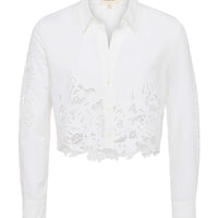 Seychelle Cropped Eyelet Blouse