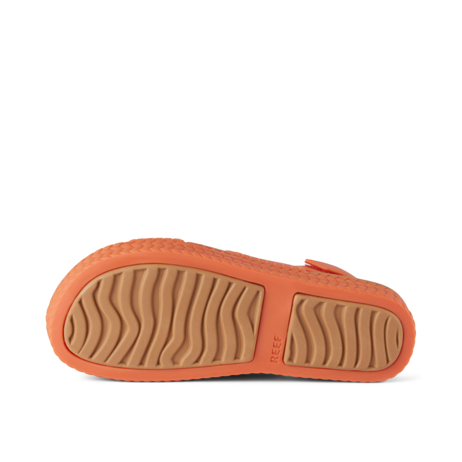 Reef Water Vista